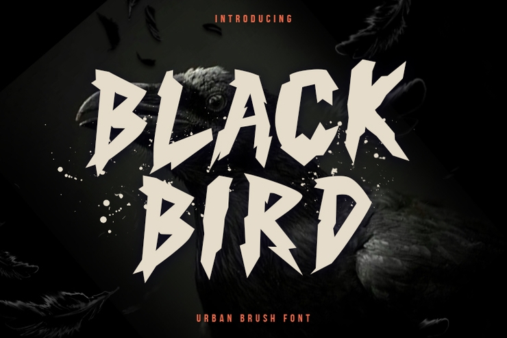 Black Bird字体 1