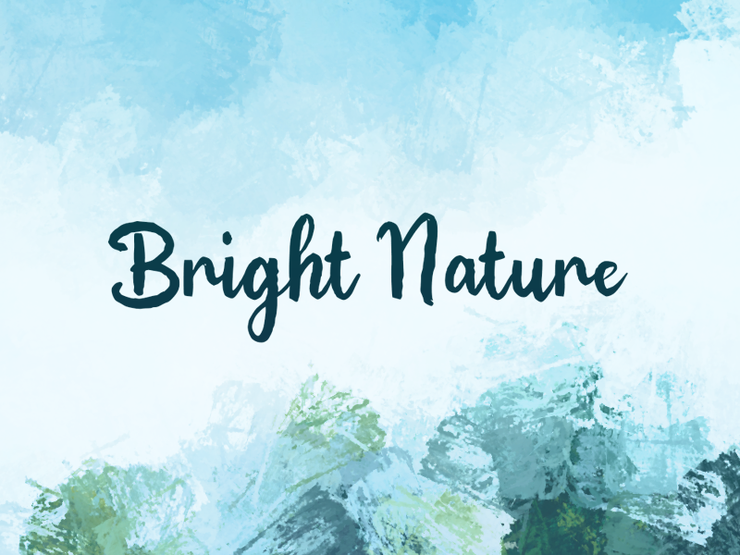 b Bright Nature字体 1