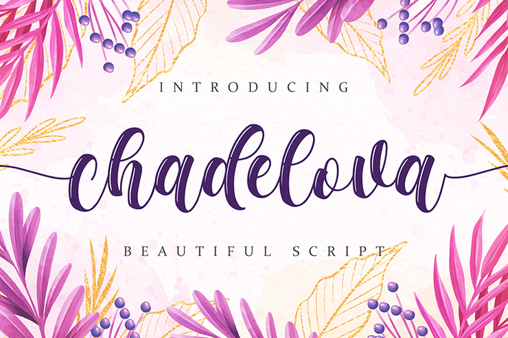 chadelova字体 1