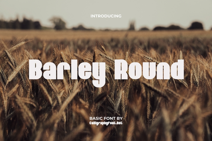 Barley Round字体 1