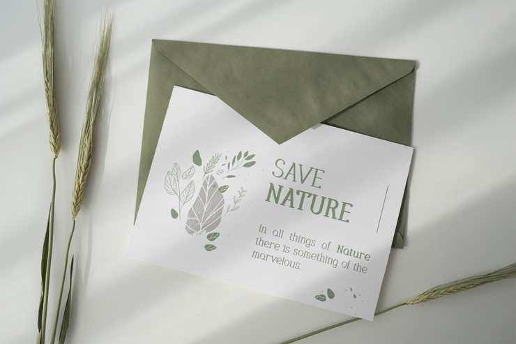 Carisyn Trial字体 1