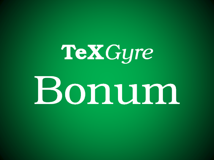 TeX Gyre Bonum字体 1