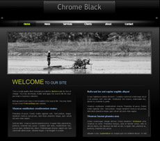 黑色非主流falsh网站模板