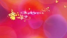 蝴蝶花纹flash片头下载