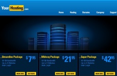 欧美服务器主机flash动画模板