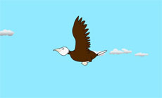 秃鹫飞翔flash动画素材