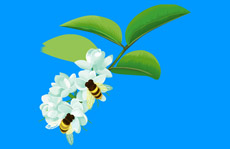 花朵上的蜜蜂flash矢量动画