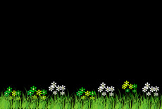 flash绿色草地和小花朵