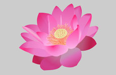 红莲花flash矢量动画素材