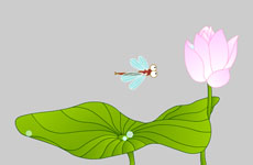 水滴在莲花上flash矢量动画