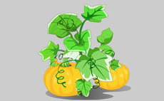 南瓜树flash植物动画素材
