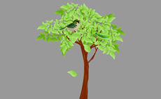 栖息在树上的螳螂flash动画
