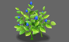 flash制作蓝色妖姬蓝玫瑰动画