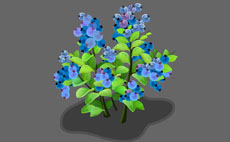 黑加仑植物flash动画