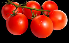 饱满的西红柿flash动画素材