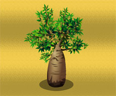 肥大的树干flash植物动画