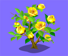 矢量金色花朵flash植物