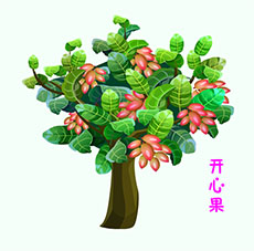 卡通开心果树flash植物