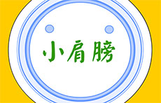 小肩膀儿歌flash动画