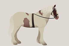 一匹白马跺脚flash动画