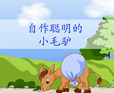 自作聪明的小毛驴flash动画