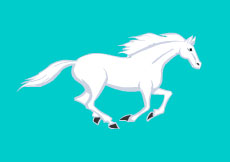 一匹白色骏马奔跑flash动画