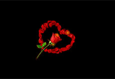 玫瑰花组成心形flash动画