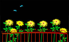 围栏中的菊花flash动画