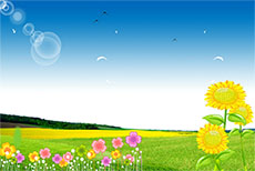 草地上的鲜花flash动画
