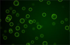 绿色气泡背景flash动画