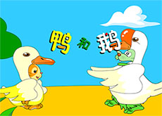 幼儿园音乐鸭和鹅flash动画
