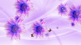 紫色花朵绽放特效flash动画