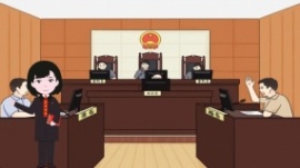 女法官介绍法院流程flash动画