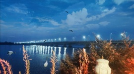 蓝色城市大桥夜景flash动画