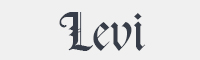 Levi字体