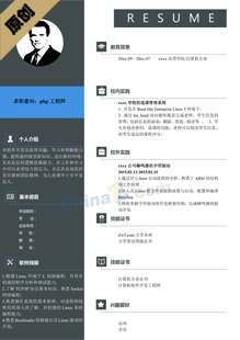 seo网站运营个人简历模板