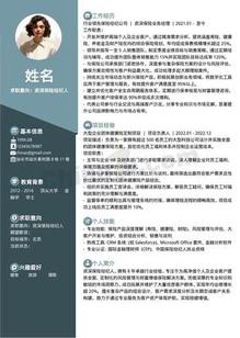 保险经纪人干练个人简历模板