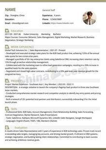 3年经验销售英文个人简历模板