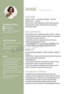 极简英文求职通用个人简历模板