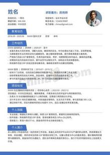 简约药剂师个人简历模板