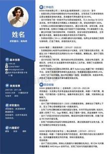 商务风高级架构师个人简历模板