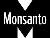 Monsanto Chemical