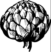 矢量水果