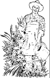 浇花矢量图