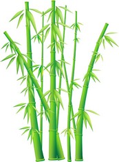翠绿的竹子矢量图下载