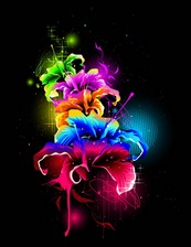 色彩花纹背景矢量图下载