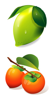 柿子柠檬水果矢量图