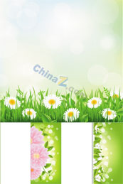 绿色植物花卉装饰矢量图