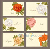 手绘花卉卡片矢量设计