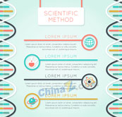 DNA科学信息图矢量素材下载